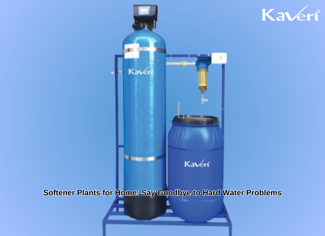 Softener Plants for Home: Say Goodbye to Hard Water Problems